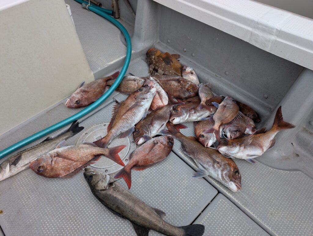 4/5(日)中潮タイラバ便　岡山倉敷の遊漁船FCインパルス